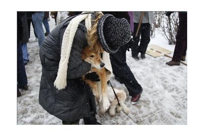 Woman tries to shush her barking dog saying,