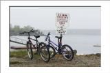 Now lets venture out to other times and places on the Point. (Maine, bicycles)