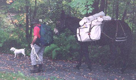 this is my husbands favorite picture - john henry packing with him into deer camp