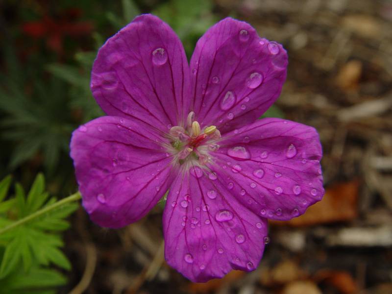 DSC09829.JPG