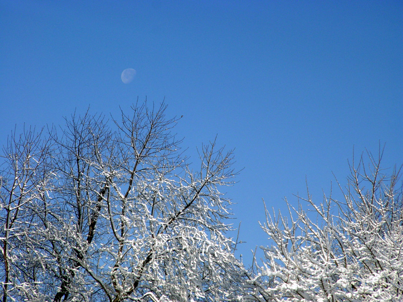 DSC07821.JPG