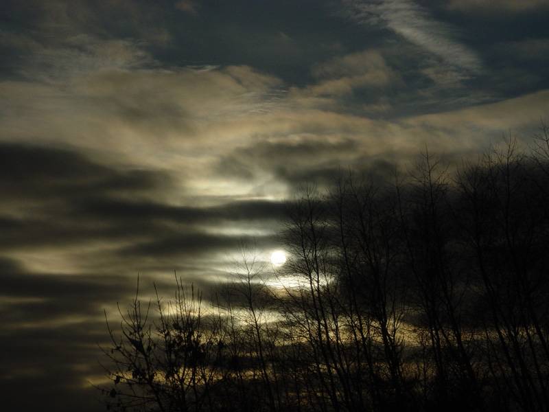 DSC09229.JPG