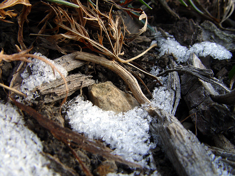 December 21, 2004<br><font size=2>I Smell Winter</font><br>Day 229