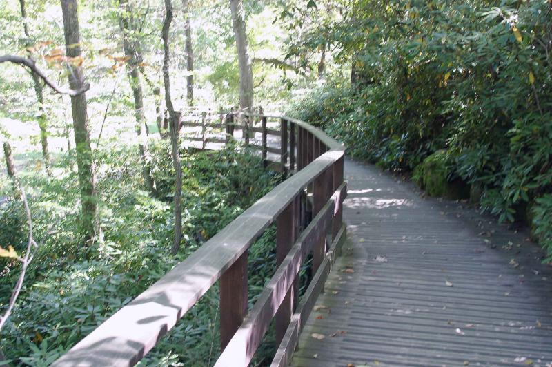 Path at Falling Waters