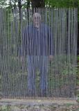 Steel Bars