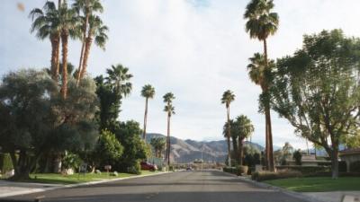 Typical Palm Springs Street.jpg