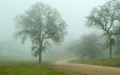 Ranch-Foggy-Morning.jpg