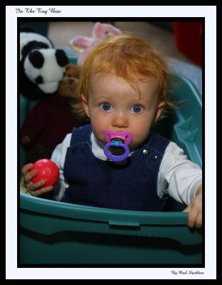 In The Toy Box*by Paul Stuckless 