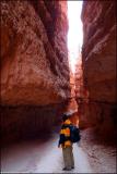 I Have Seen The Light*<br>by Ray Soemarsono