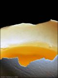 Yellow Interior (*)<br><b>2nd Place</b>