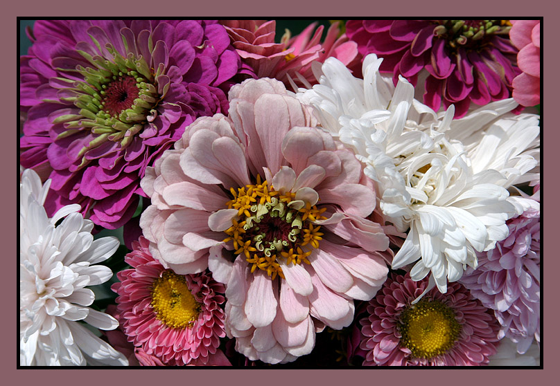 <B>Together in a Bunch</B><BR>*<FONT size=2>by Ann Chaikin</FONT>