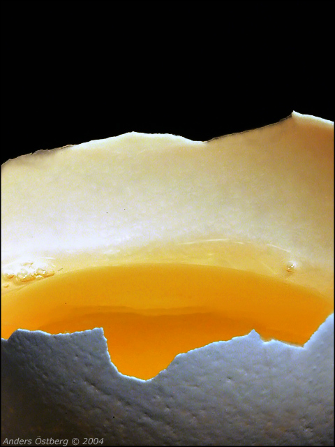 Yellow Interior (*)<br><b>2nd Place</b>