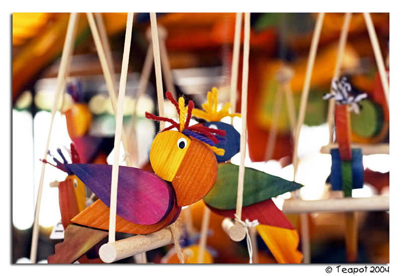 <b>Parrots</b> *