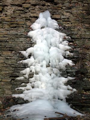Tree, or is it?