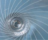 Eye of the Storm