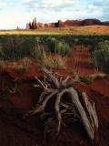 Monument Valley--Totems