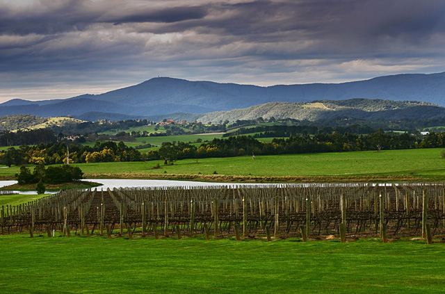 Yarra Valley*