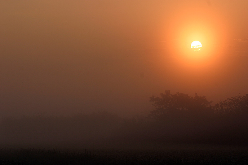 Delayed Sunrise*
