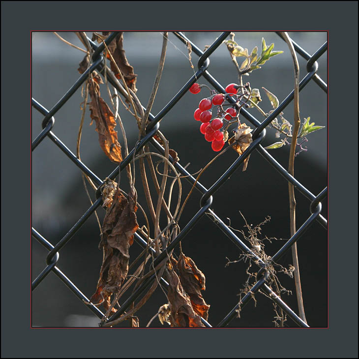 Hanging on *