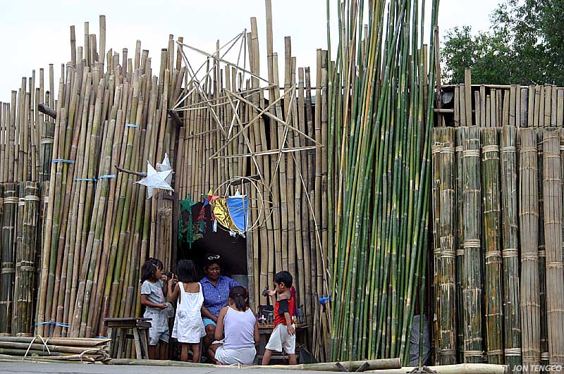 Framed by Bamboo *