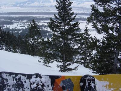 boarder's outlook.jpg