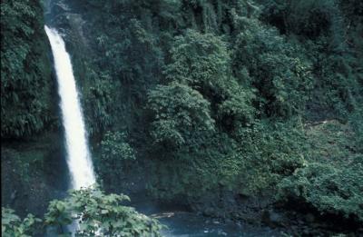 u23/curtlarson/medium/16997443.lapazwaterfall3.jpg