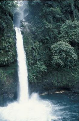 u23/curtlarson/medium/16997445.lapazwaterfall5.jpg