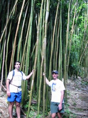 bamboo-lance & curt.jpg