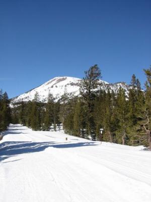 x-country view 5.jpg