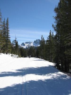 x-country view 7.jpg