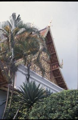 IMG001-wat in chiang mai.jpg