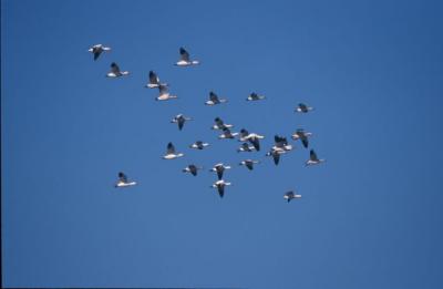 IMG480.jpg
