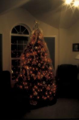IMG425.jpg