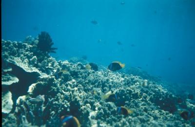 IMG191.jpg