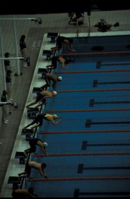 u23/curtlarson/medium/16998846.IMG256swimmingheatssydneyintlaquaticsctr.jpg