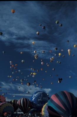 IMG390.jpg