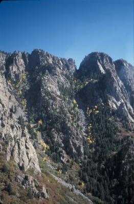 IMG039.jpg