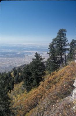 IMG040.jpg