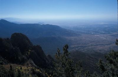 IMG041.jpg