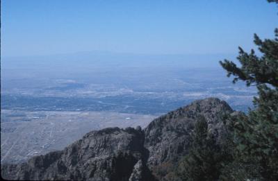 IMG042.jpg