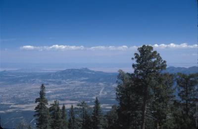IMG043.jpg