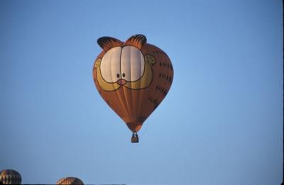 IMG080.jpg