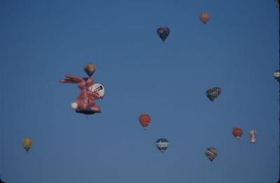 IMG082.jpg