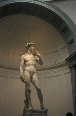 david - academia museo-firenze.jpg