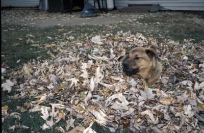 IMG459.jpg