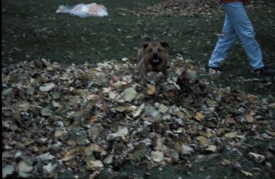 IMG460.jpg
