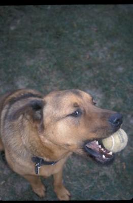 IMG464.jpg