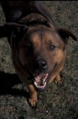 IMG470.jpg
