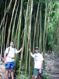 bamboo-lance & curt.jpg