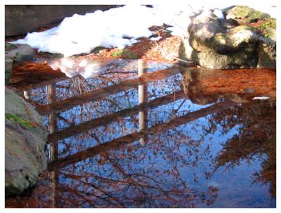 Wintry Reflection.jpg